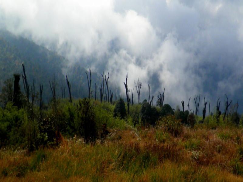 Maenam Wildlife Sanctuary